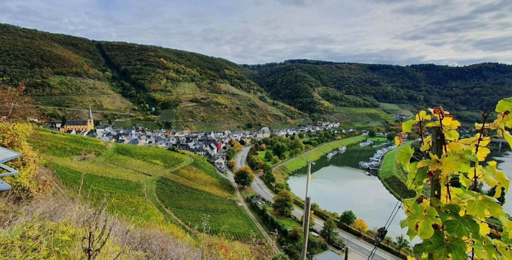 Ferienwohnung An Der Mosel, Romeo 森海姆 外观 照片