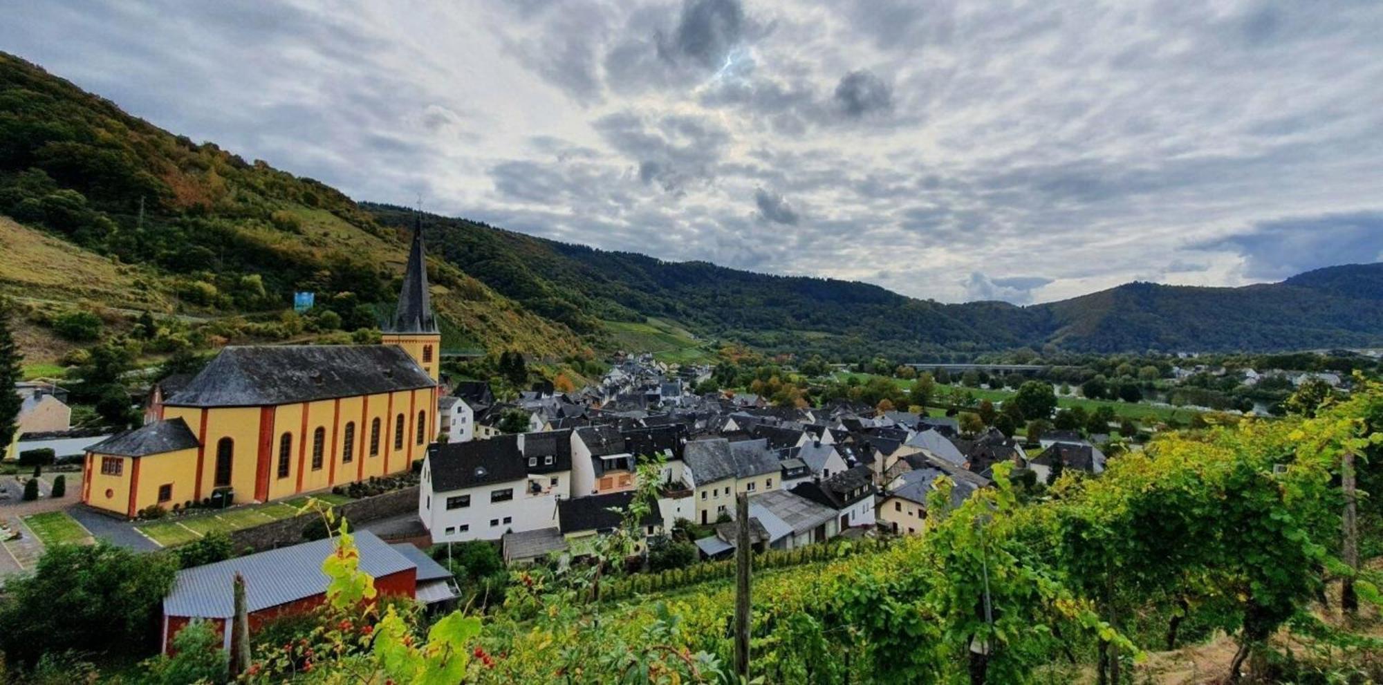 Ferienwohnung An Der Mosel, Romeo 森海姆 外观 照片